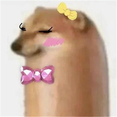 超阔爱的微信狗子表情 给爷来点生活费