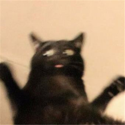 2024黑猫有病表情合集 黑猫无字好用表情大全