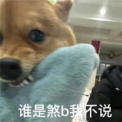 最近超爱的贱表情2024版 聊天必备的搞怪表情合集