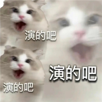 最近超爱的贱表情2024版 聊天必备的搞怪表情合集