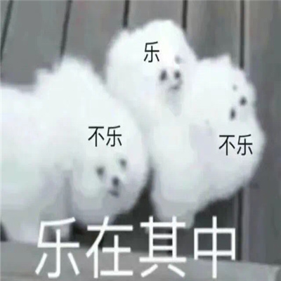 新版好用互联网嘴替表情 存上聊天超开心的表情合集