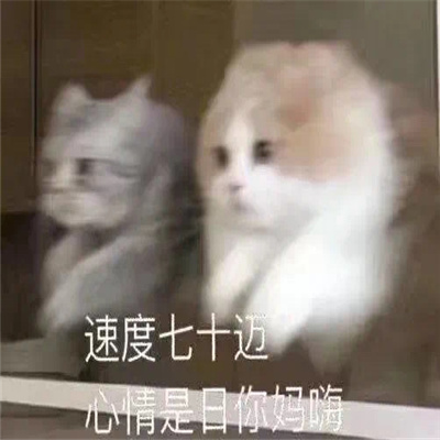 新版好用互联网嘴替表情 存上聊天超开心的表情合集