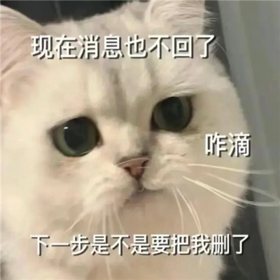 冷落对象重拳出击的表情包 已读不值得回