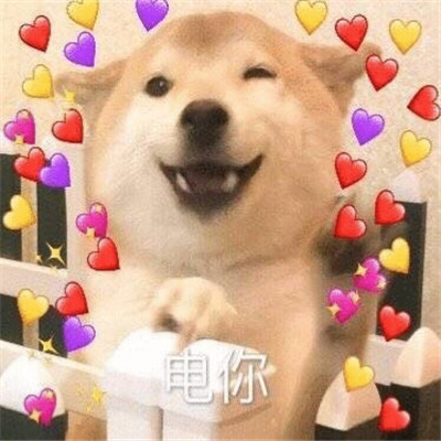 很有特色的好用表情新版 无所谓今天也有点累