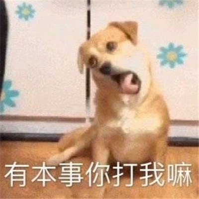 很有特色的好用表情新版 无所谓今天也有点累