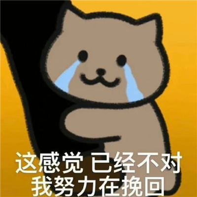 超爱的表情聊天趣味满满 无水印系列搞怪特色表情合集