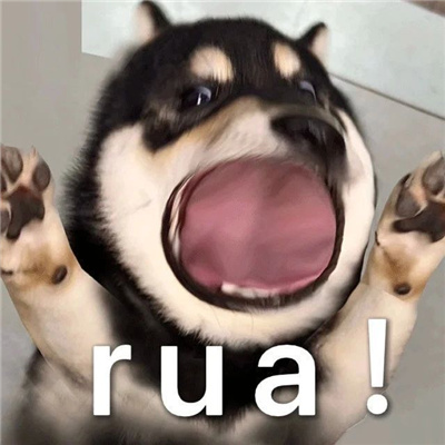 2024好玩系列的表情合集 好用又好玩超有意思的表情合集