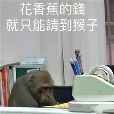 2024好玩系列的表情合集 好用又好玩超有意思的表情合集