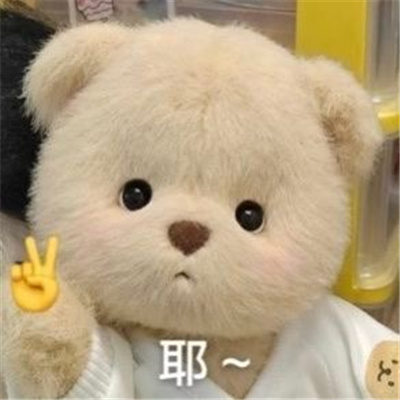 2024好玩系列的表情合集 好用又好玩超有意思的表情合集