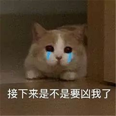 2024新版有趣搞怪表情无水印好笑 很皮的聊天表情创意合集