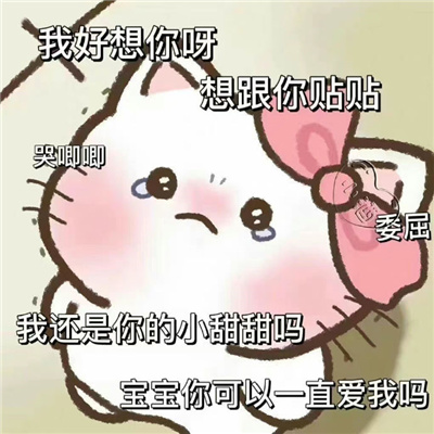 2024新版有趣搞怪表情无水印好笑 很皮的聊天表情创意合集