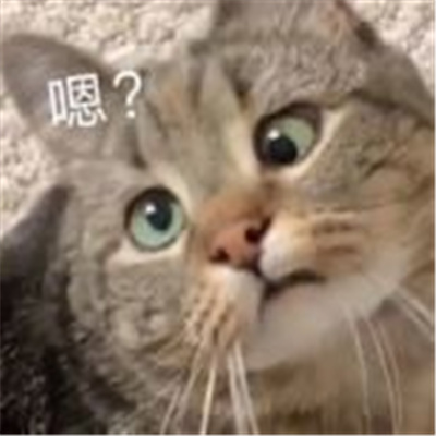 好玩又实用的聊天表情 说的比唱的还好听