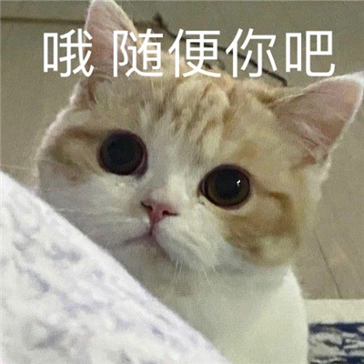 让你心情超好的可爱表情大全 网络上很流行的火热表情