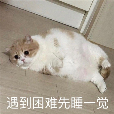 让你心情超好的可爱表情大全 网络上很流行的火热表情