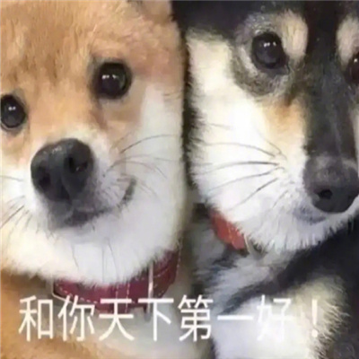 很火很快乐的聊天表情 把自己倒过来眼泪就不会流下来