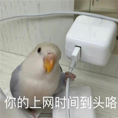 很火很快乐的聊天表情 把自己倒过来眼泪就不会流下来