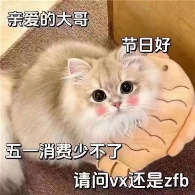 五一会用到的表情包 大哥大哥节日好五一消费少不了