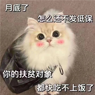 五一会用到的表情包 大哥大哥节日好五一消费少不了