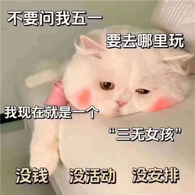 五一会用到的表情包 大哥大哥节日好五一消费少不了