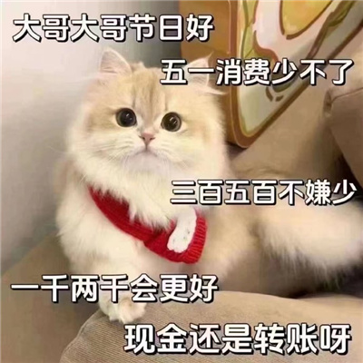 五一会用到的表情包 大哥大哥节日好五一消费少不了