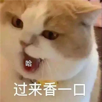 实用系列快乐表情幽默 让你聊天不再缺表情喽