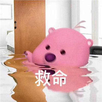 2024一定要存上的斗图表情大全 小鸭说尬尬尬