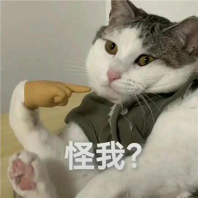 满满笑点的搞怪表情大全 爆笑全网的热门表情2024版