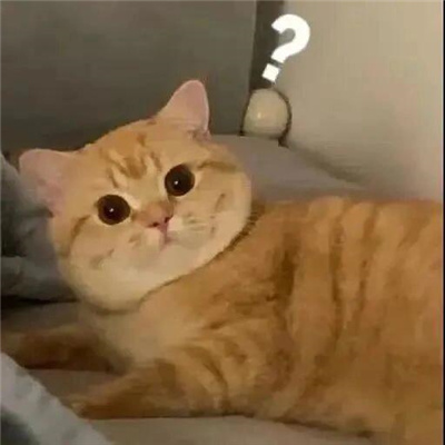 满满笑点的搞怪表情大全 爆笑全网的热门表情2024版