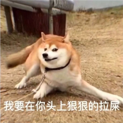 与众不同的搞怪表情大全 我需要的是钱OK