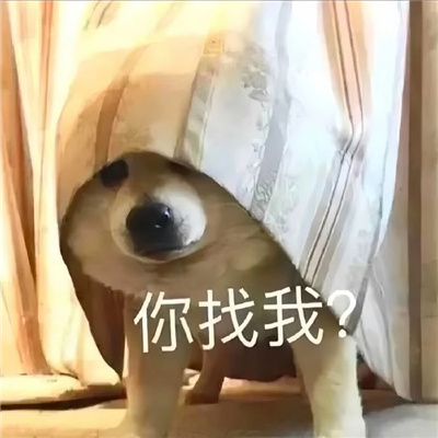 网络热梗开心热门的表情 网络流行表情很火热