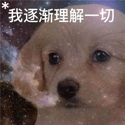 网络热梗开心热门的表情 网络流行表情很火热