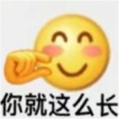 2024开心有梗的表情每张必存图 我没素质少管我