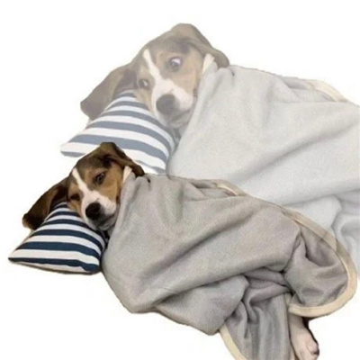 网络上搞怪表情很幽默又好笑 你这样的以前我是看不上的