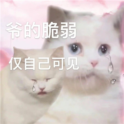 网络上搞怪表情很幽默又好笑 你这样的以前我是看不上的