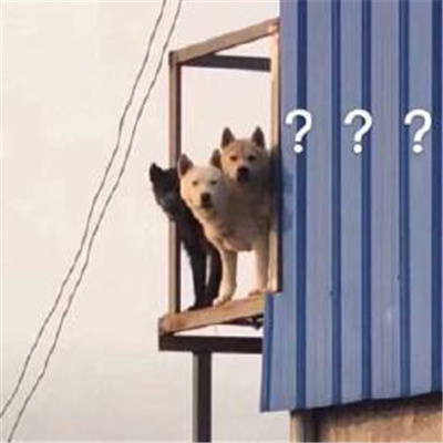 2024聊天拥有超有开心的表情 一秒变开心的表情大全