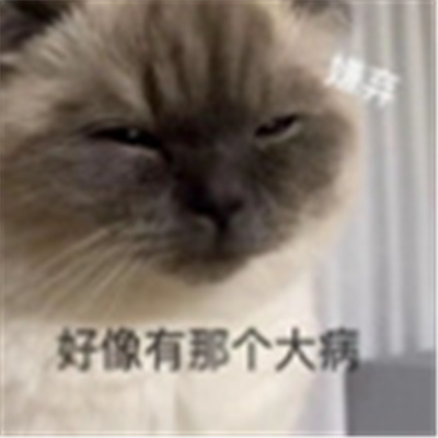 神经有病表情包 合法但是有病