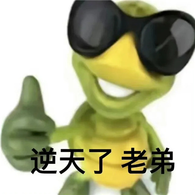 近期使用频率高的聊天表情包 丑萌丑萌系列的表情合集