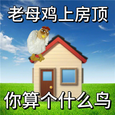 近期使用频率高的聊天表情包 丑萌丑萌系列的表情合集