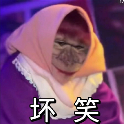 近期使用频率高的聊天表情包 丑萌丑萌系列的表情合集