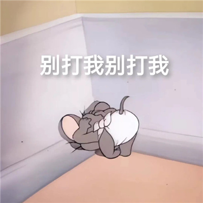 实用聊天表情包让人看了就开心 高情商回复的聊天表情