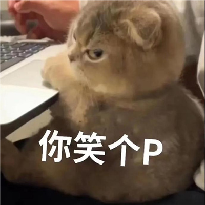 万能聊天沙雕表情日常 趣味回复聊天的表情合集