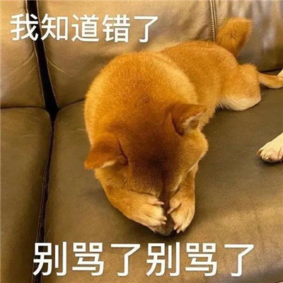 万能聊天沙雕表情日常 趣味回复聊天的表情合集