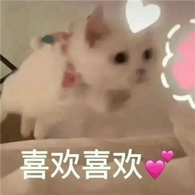 跟自己最好朋友用的可爱搞怪表情 再也不理你了哼