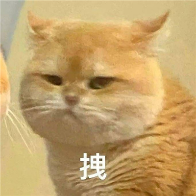 跟自己最好朋友用的可爱搞怪表情 再也不理你了哼