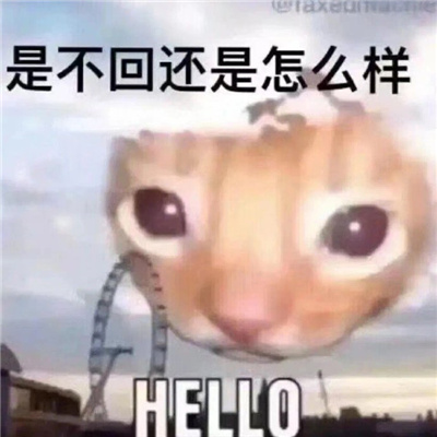 沙雕无水印表情看完想笑 你好惨啊居然来我这找存在感