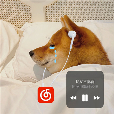 2024沙雕表情合集极度舒适 掐狐中自我抢救