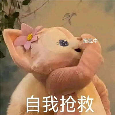 2024沙雕表情合集极度舒适 掐狐中自我抢救