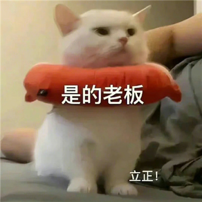 2024沙雕表情合集极度舒适 掐狐中自我抢救