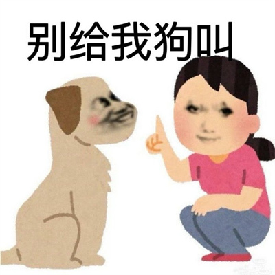 新版快乐特色表情很搞怪又快乐 大小姐嫁到统统闪开