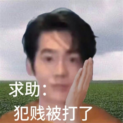 新版快乐特色表情很搞怪又快乐 大小姐嫁到统统闪开